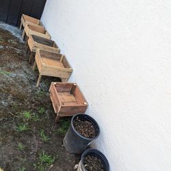 Plant boxes