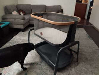 Maxi-Cosi Iora Bedside Bassinet