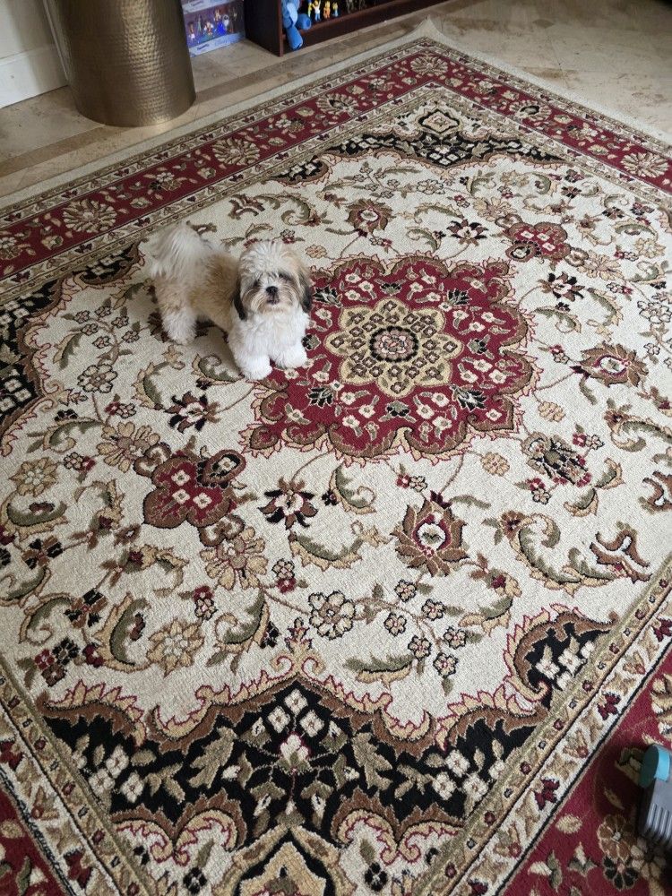 Rug Almost Free