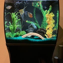 Fish Aquarium Flex Fluval  15g