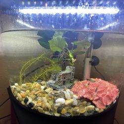 6-Gallon Corner Aquarium Setup – Lid with LED, Filter, Heater – $40 OBO (Salinas)