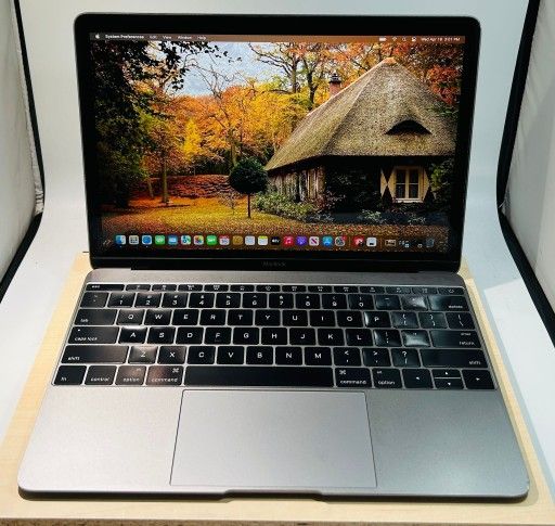 Apple Macbook 12” Retina 2016 Intel Core M3 8GB 256GB OS Monterey Fully Functional