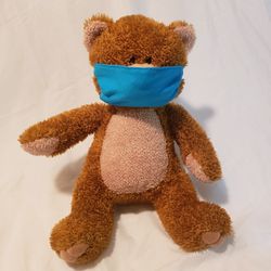 Aurora Mask Teddy Bear