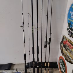 Freshwater Saltwater Fishing Poles Top End Brands