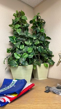 Plastic Plants 2ft Tall (2)