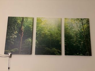 Set of 3 Forest Scene Canvas Prints
