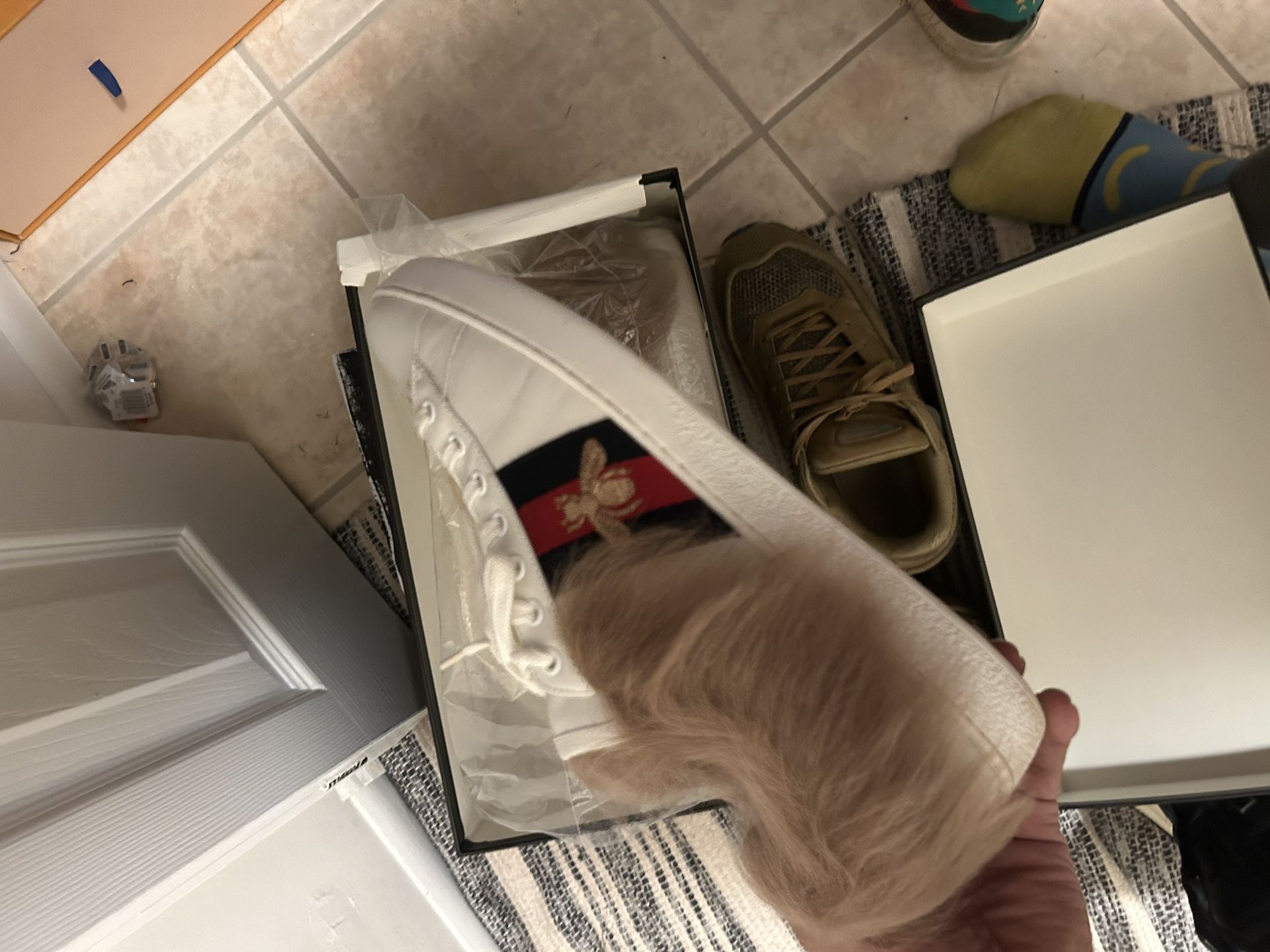 Gucci Ace Fur Rare Sz 10