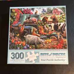 Bits & Pieces 300 Piece Puzzle