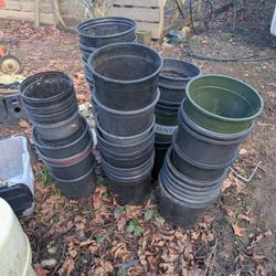 Free Garden Plant Pots. 