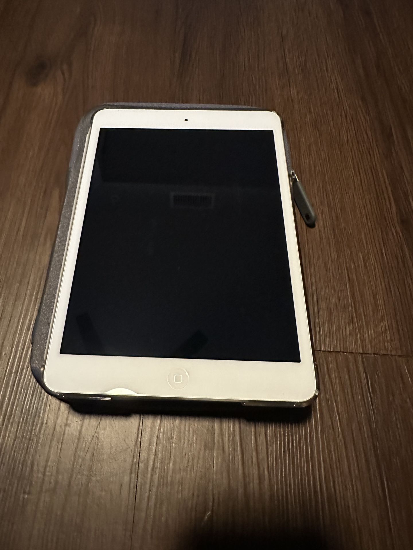 iPad Mini 1 