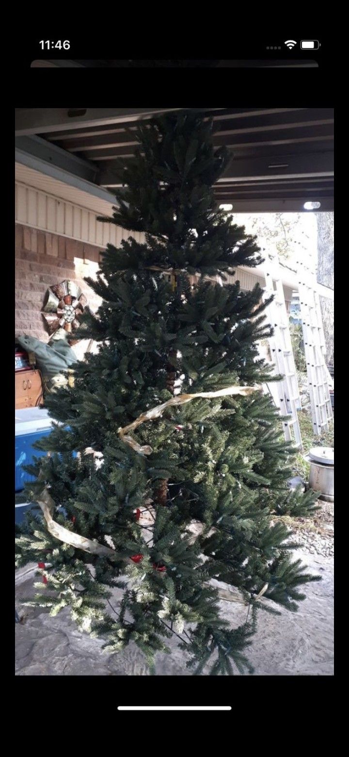 Christmas trees 8ft have more also tengo mas de uno