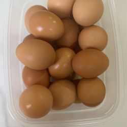 Fresh Farm Eggs 
