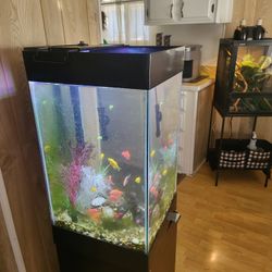 Aquirum / Fresh Water / 18 Gallons With Fishs
