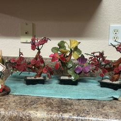 3 Japanese Jade Plants