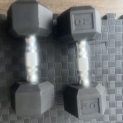 20 Dumbbell Pair