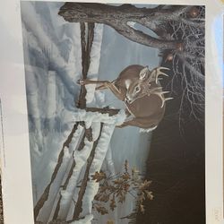 Unframed Artwork