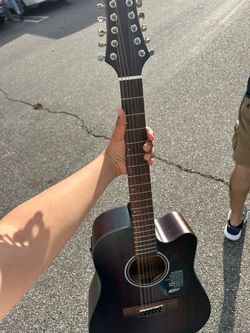 Mitchell 12-strings