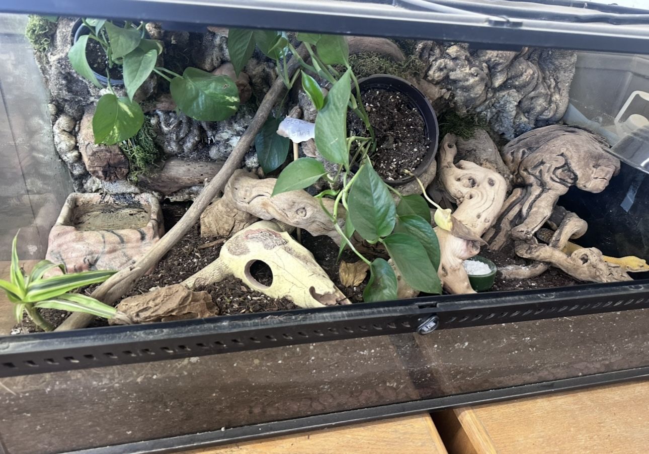 Bio-Active tank