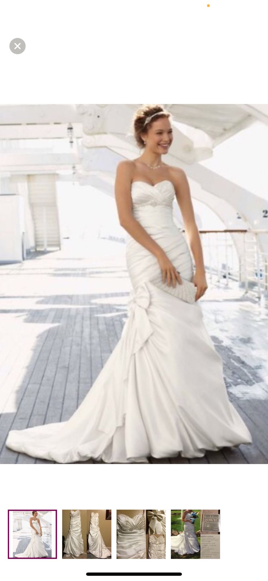 Wedding Dress & Veil