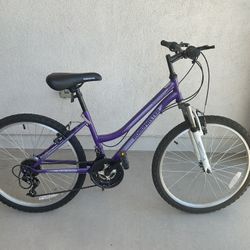 24” Road master Girls Mountain Bike