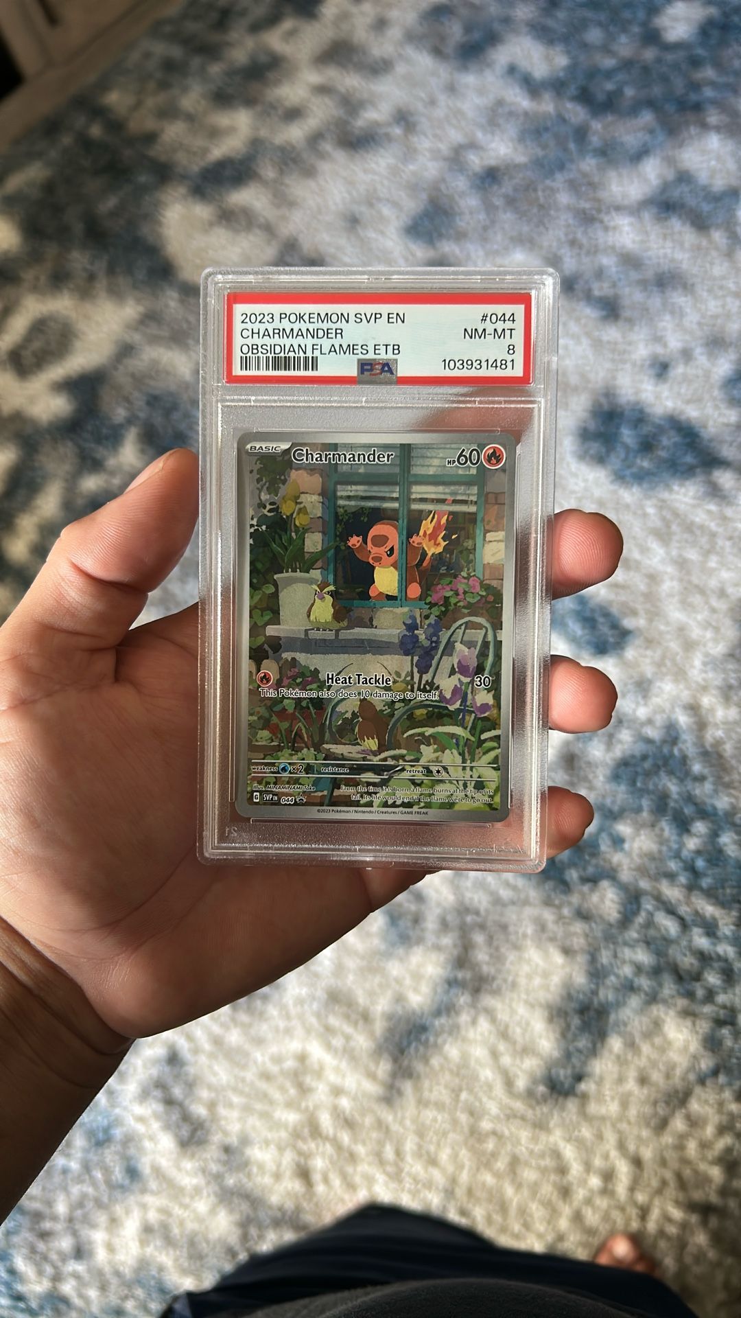 Pokémon Card
