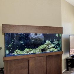 100 Gallon Reef Fish Tank