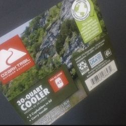 Ozark Trail 30 Quart Hard Side Cooler, 42-Can Capacity, Gray