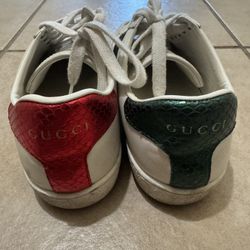 Gucci Shoes 