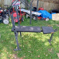 Weight Bench