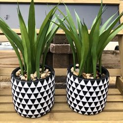 Farmhouse Home Decoration 13” Tall Black White Triangle Design Ceramic Potted Plants Set Of 2
