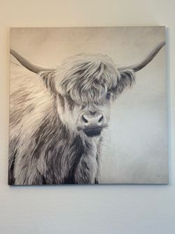 Highland Cow Canvas Picture