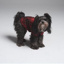 New Skims Dog Jacket Sweater
