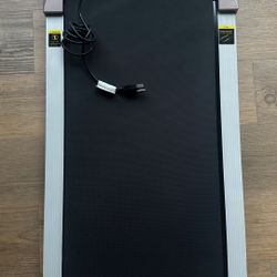 Deer Run Walk Pad / Standing Desk