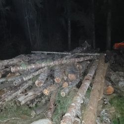 Logs, Lumber ,firewood