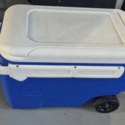 Igloo Cooler