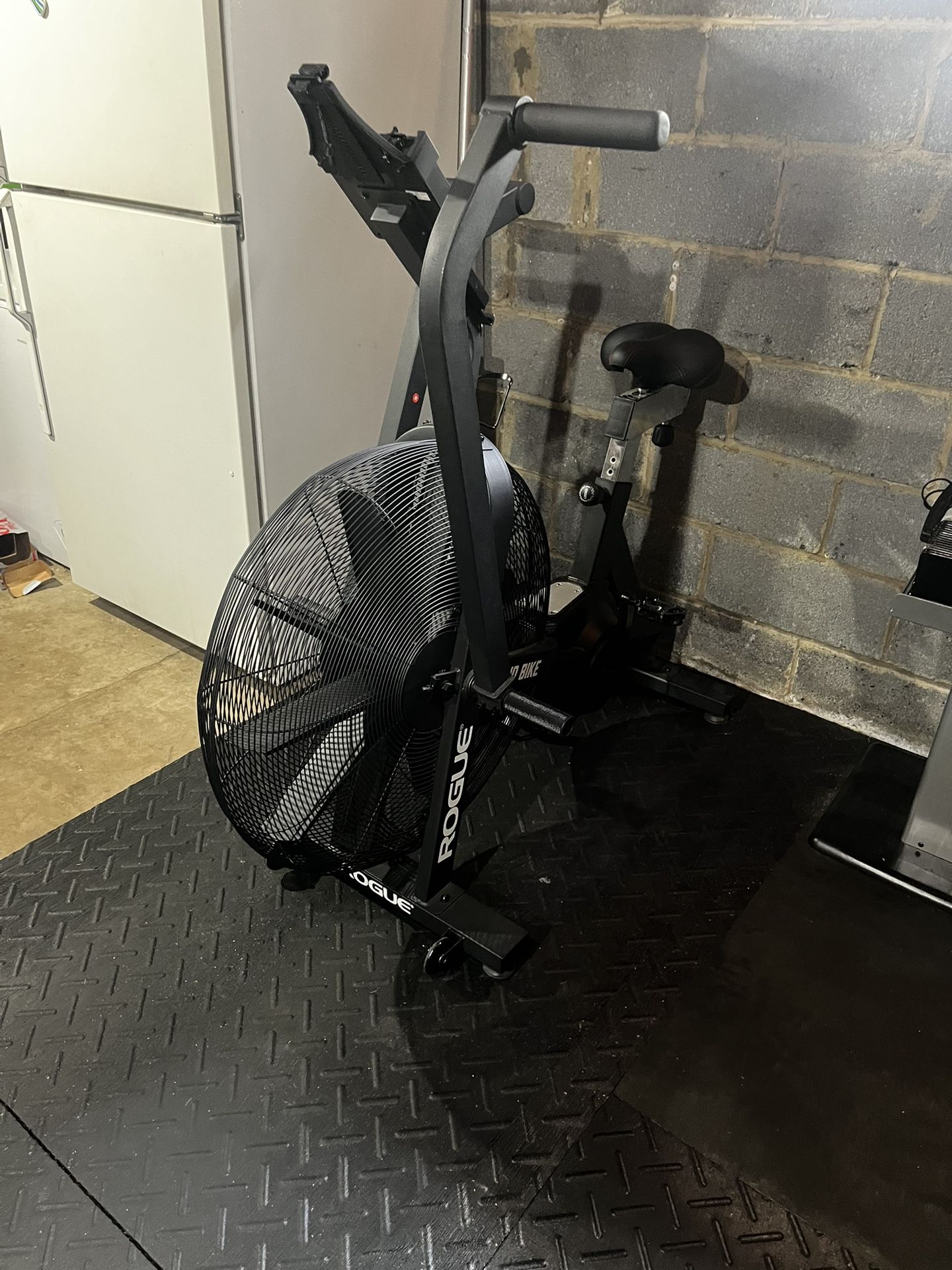 Rogue Echo Bike