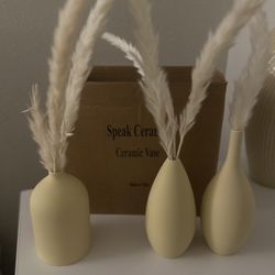 Speack Ceramic Vase Set Of 3