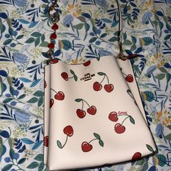 Coach Mollie Bucket Bag