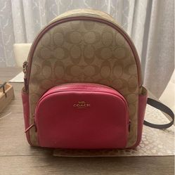 Coach Leather Backpack 