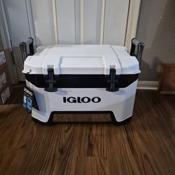 Igloo Cooler 