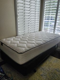 Twin Mattress And Box Spring