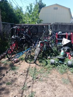 Bikes