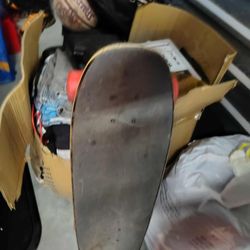 Sana Cruz Skateboard