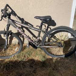Specialized mountain Bike-Rockhopper 