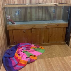 Three Hundred Gallon Fish Tank For Sale 300.00 Dollars 