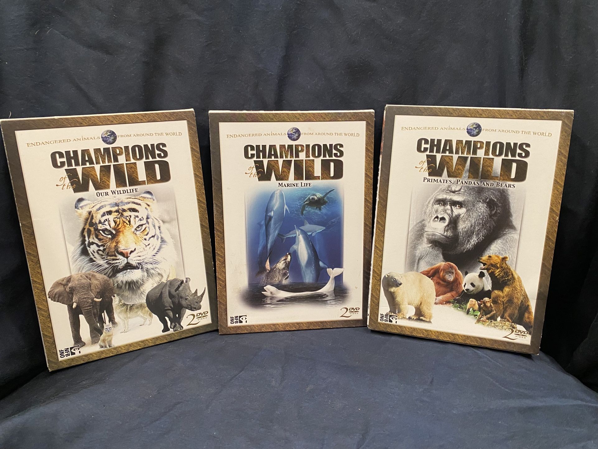 Champions Of The Wild