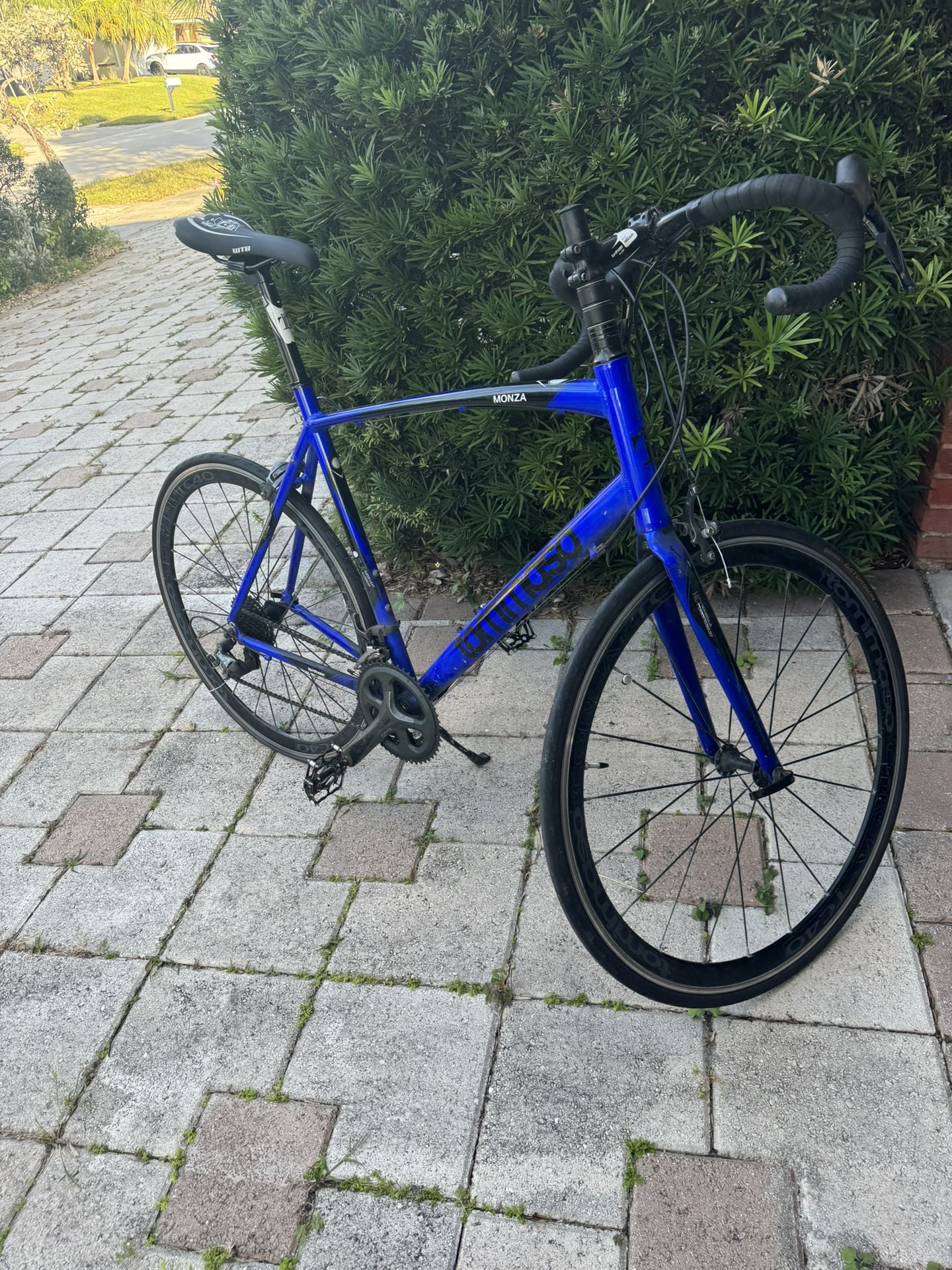 Tommaso Monza Blue