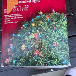 Christmas Lights