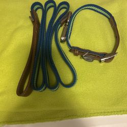 Good2Go Dog Large Collar & Leash 
