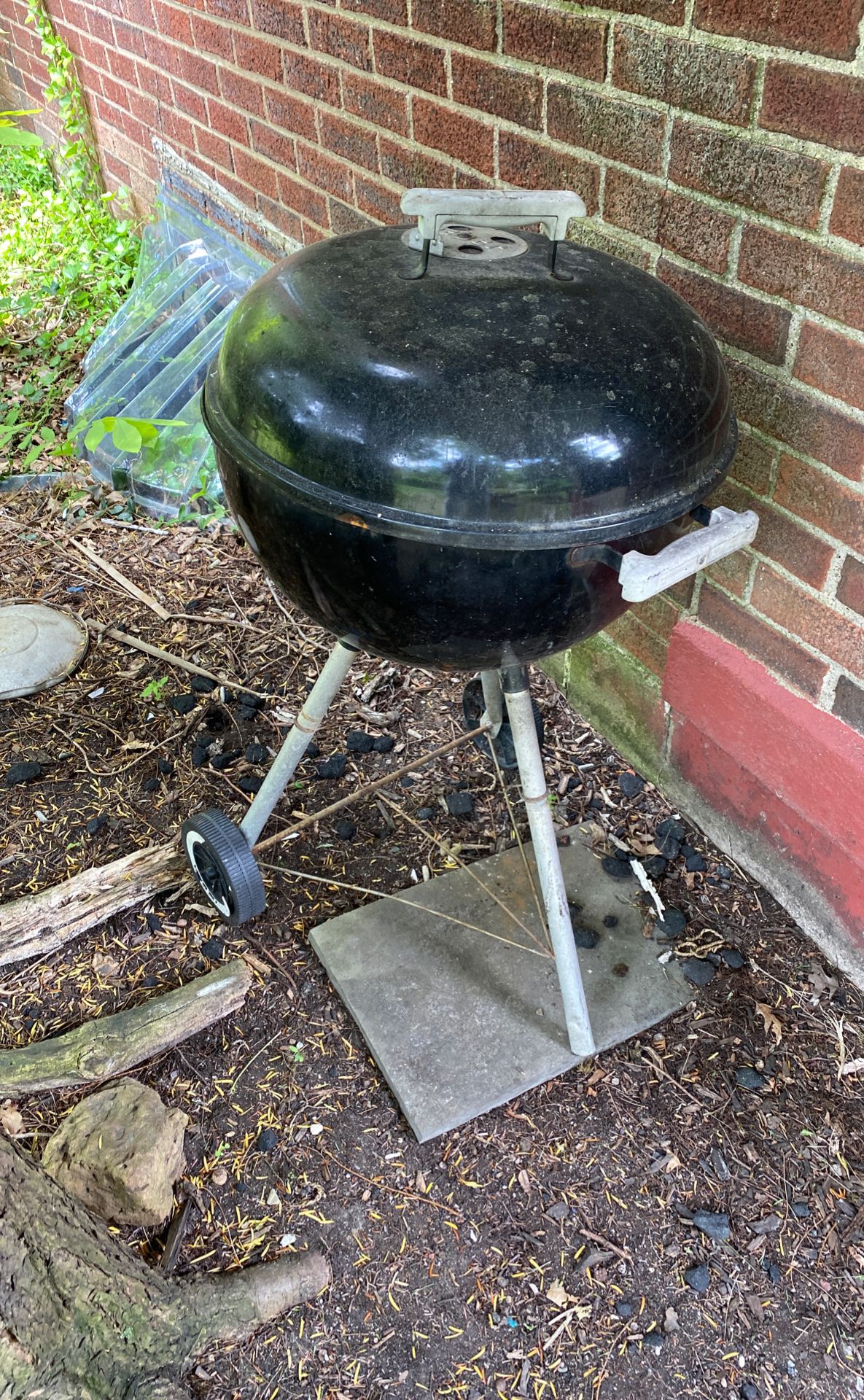 Weber smoker grill